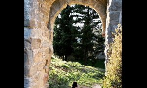 Castello di Romena - 66