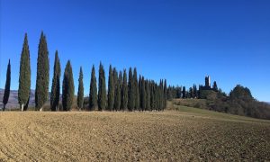 Castello di Romena - 76