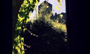 Castello di Romena - 83
