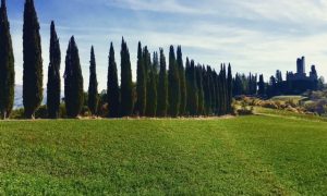 Castello di Romena - 92